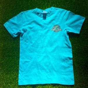 Light blue T-shirt. Great cotton.